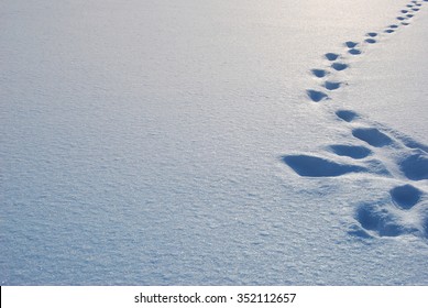 Footsteps On The Snow