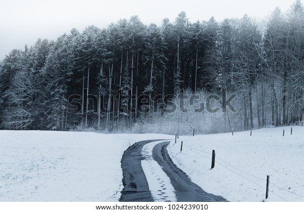 footsteps on a\
snow covered street at\
countryside