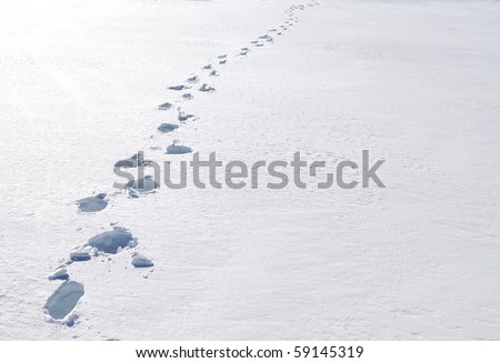 Footsteps on the snow. Pizol, Swiss Alps