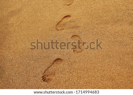 Footsteps in the sand of an adult person on a beach in Ilhabela, Brazil.