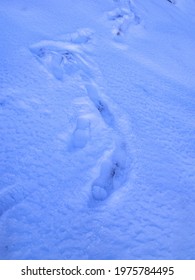 Footsteps In The Winter Snow.