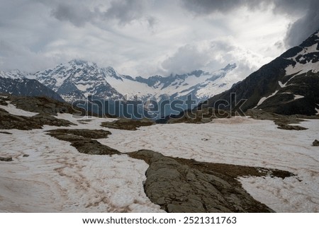 Fora plains: spring thaw on the Fora plains: view of mount Disgrazia 