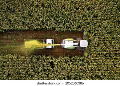 Forage harvester on maize cutting for silage in field. Harvesting biomass crop. Self-propelled Harvester for agriculture. Tractor work on corn harvest season. Farm equipment and farming machine. - Shutterstock ID 2052060386
