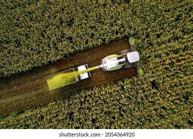 Forage harvester on maize cutting for silage in field. Harvesting biomass crop. Self-propelled Harvester for agriculture. Tractor work on corn harvest season. Farm equipment and farming machine. - Shutterstock ID 2054364920