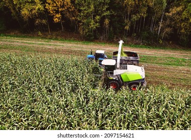 Forage Harvester On Maize Cutting For Silage In Field. Harvesting Biomass Crop. Self-propelled Harvester For Agriculture. Tractor Work On Corn Harvest Season. Farm Equipment And Farming Machine.