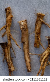 Foraging For Wild Food Dandelion Roots To Make A Caffeine Free Vegeterian Roasted Coffee. Also Known As Taraxacum And Highly Nutritious 