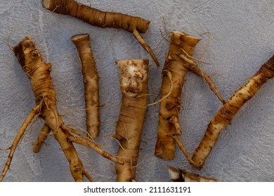 Foraging For Wild Food Dandelion Roots To Make A Caffeine Free Vegeterian Roasted Coffee. Also Known As Taraxacum And Highly Nutritious 