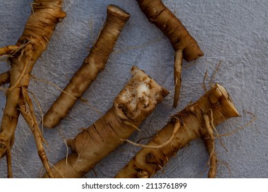 Foraging For Wild Food Dandelion Roots To Make A Caffeine Free Vegeterian Roasted Coffee. Also Known As Taraxacum And Highly Nutritious 