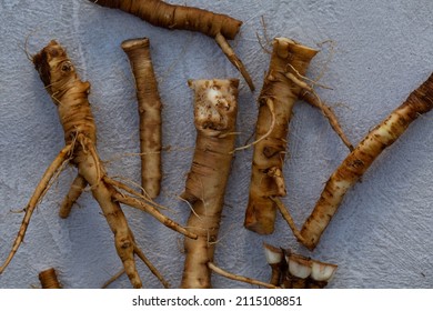 Foraging For Wild Food Dandelion Roots To Make A Caffeine Free Vegeterian Roasted Coffee. Also Known As Taraxacum And Highly Nutritious 