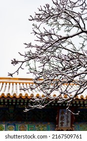 The Forbidden City In Snow