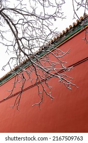 The Forbidden City In Snow