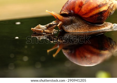 Garden snail IV Leaf