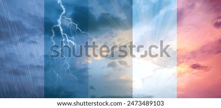 Similar – Image, Stock Photo Nature environment rainy weather