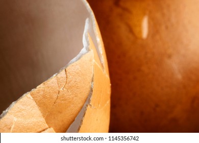 In A Foreground A Broken Eggshell Section With A White Thin Membrane , In The Background One Eggshell With A Small Albumen Drop ,studio Shot  ,selective Focus