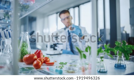 Foreground Focus on a Range of a Lab-Grown Cultured Vegetables: Peas, Tomatoes, Sweet Peppers, Plants. Medical Scientist Working on a Background in a Modern Food Science Laboratory.