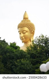 The foreground is a forest, and the background is a very large Buddha statue. He is very beautiful.