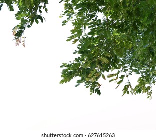 172,565 Trees foreground Images, Stock Photos & Vectors | Shutterstock