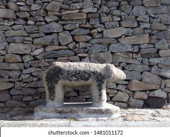 Foreground picture of a verraco (sculpture of a stone male animal) in a spanish garden with a stone wall in the background