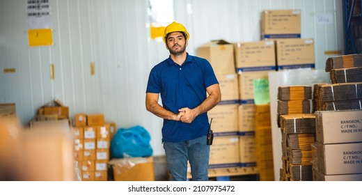 foreman worker or engineer are working about logistic industrial transport shipping container