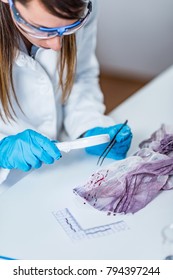 Forensic science expert examining traces of blood on a piece of cloth collected at a crime scene