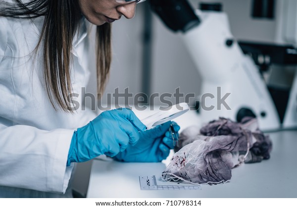 Forensic Science in Lab. Forensic Scientist\
examining textile with blood\
evidences