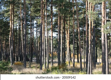 Stock Photo and Image Portfolio by miaxxx | Shutterstock