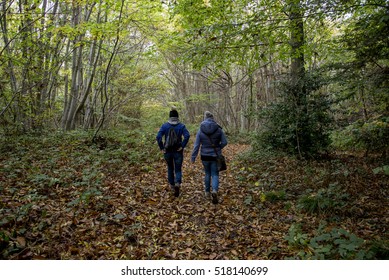 In the Forest