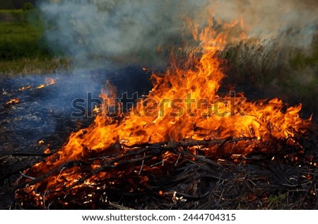 Forest ablaze with flames, danger at night, smoke billows, grass scorched, nature engulfed in orange inferno, wood crackles, campfire spreads, light fades in the blackened forest