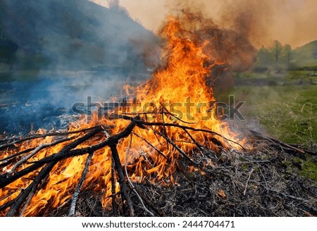 Forest ablaze with flames, danger at night, smoke billows, grass scorched, nature engulfed in orange inferno, wood crackles, campfire spreads, light fades in the blackened forest