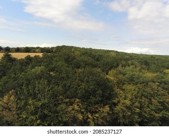 Forest Aerial View In Burgundy - France