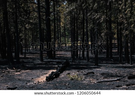 Similar – Image, Stock Photo When coal was still being delivered … Dilapidated Berlin apartment building with “Koks” written on it.