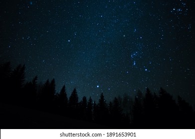 Forest Against The Background Of The Starry Sky In The Carpathian Mountains