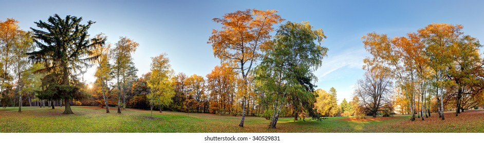 Forest Autumn Panorama In Park