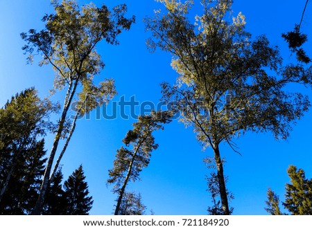 Image, Stock Photo Wind power at Roßkopf 8