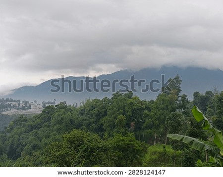 Forest with background a mountain shrouded in clouds and fog, bandung Indonesia