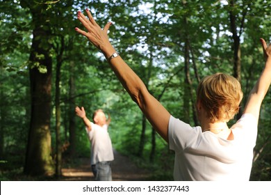 Forest Bathing (Shinrin Yoku), Nature Therapy