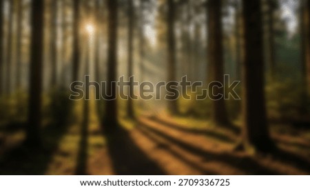 Forest Bathing Sunbeams Dance Through the Trees.