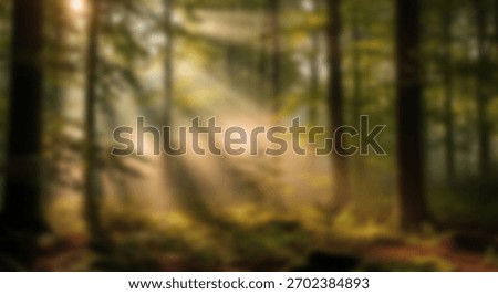 Forest Bathing Sunbeams filter through misty green woods with a natural haven.