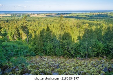 Forest In A Beautiful Landscape View At A Talus Slope