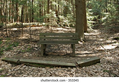 Forest Bench