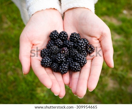 Similar – Ripe blackberries in hand