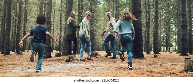 Forest, Big Family And Adventure With Children, Parents And Grandparents Walking In Nature For Outdoor Hiking, Fun And Trees On Wellness Vacation. Running Kids, Travel And Happy Man And Women In Wood