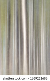 A Forest Is Blurred Vertically And Abstracted, DuPage County, Illinois