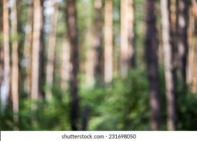 Forest Bokeh, Green Blurred Background