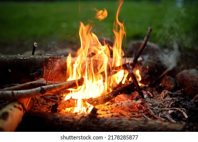 Forest Bonfire. Having Fun At A Camp Site With Family And Friends. Fun Activities In Summer.