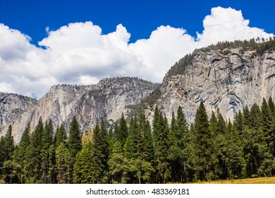 Forest at Bottom of Granite Cliffs