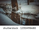 Forest breaks a path through the snow and ice. The river flows into a winter lake, but this is not where its way ends.