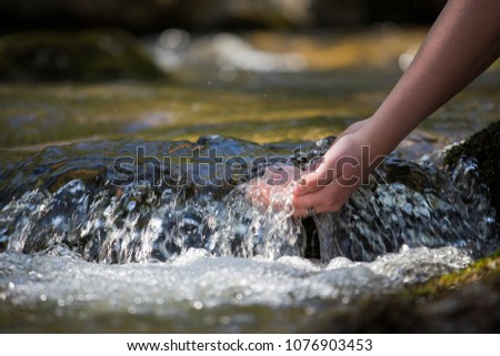 The forest brook, the girl washed her hands in clean water and enjoys her freshness, the natural benefits of drinking water in the world, the Bosnian tributaries.