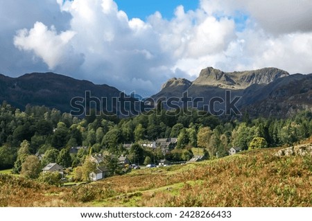 Forest. by langdale pikes in english lake district national park, england, europe