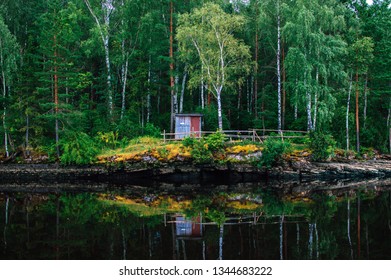 Forest by the river